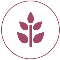 Agronomo